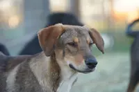 processed/62ef5f7d-774d-459e-8c5f-d063c1a1778f/listing/829d9a1a-4d54-4910-a863-42b564ddbd58/ed14bac4-6991-48e3-83c8-9a2035e2ce50