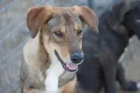 processed/62ef5f7d-774d-459e-8c5f-d063c1a1778f/listing/829d9a1a-4d54-4910-a863-42b564ddbd58/fde5b0ec-d93e-4162-9946-6fa04e852de3