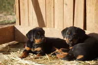 processed/62ef5f7d-774d-459e-8c5f-d063c1a1778f/listing/853b2529-3bc0-440d-a2e9-b1a77be994af/8ffe618d-ba32-411d-ac1f-9e9fac7dcf82