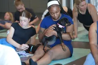 Amiri, a female Rottweiler for sale in Maricopa, AZ – 10 of 10