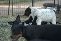 processed/62ef5f7d-774d-459e-8c5f-d063c1a1778f/listing/8a3461b0-2ead-40ca-9719-11e1b54f03f0/02fb9c07-93b8-4d44-ab15-3596507a6a7f