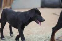 processed/62ef5f7d-774d-459e-8c5f-d063c1a1778f/listing/8a3461b0-2ead-40ca-9719-11e1b54f03f0/627a9b56-a785-429e-8672-23ac98751f3a