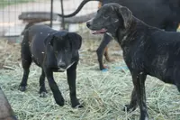 processed/62ef5f7d-774d-459e-8c5f-d063c1a1778f/listing/8a3461b0-2ead-40ca-9719-11e1b54f03f0/be5166df-e290-4877-9af1-bc0c646ccecb