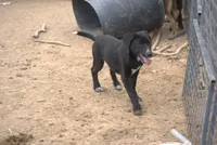 processed/62ef5f7d-774d-459e-8c5f-d063c1a1778f/listing/8a3461b0-2ead-40ca-9719-11e1b54f03f0/c1cb8448-35d5-4a7b-b4ca-790d67a0d7a2