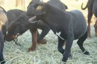 processed/62ef5f7d-774d-459e-8c5f-d063c1a1778f/listing/8a3461b0-2ead-40ca-9719-11e1b54f03f0/c39a8d29-5c99-46c6-b1c6-bf02a60a1f18