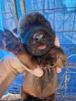 processed/62ef5f7d-774d-459e-8c5f-d063c1a1778f/listing/8f426cb7-714b-43b2-be76-17f1b0b7d776/115de483-8edb-4898-8822-b04ec504e22a