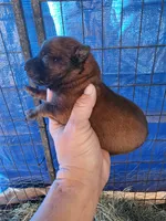 processed/62ef5f7d-774d-459e-8c5f-d063c1a1778f/listing/8f426cb7-714b-43b2-be76-17f1b0b7d776/2f2af8b1-a3f0-42d7-9d3a-f928840148de