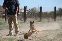 processed/62ef5f7d-774d-459e-8c5f-d063c1a1778f/listing/8f426cb7-714b-43b2-be76-17f1b0b7d776/30b688a9-59d5-4b05-8fdb-3c87e306451a