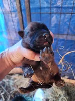 processed/62ef5f7d-774d-459e-8c5f-d063c1a1778f/listing/8f426cb7-714b-43b2-be76-17f1b0b7d776/75ab7314-5471-47ca-ad8b-56cad2d0c624