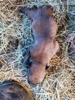 processed/62ef5f7d-774d-459e-8c5f-d063c1a1778f/listing/8f426cb7-714b-43b2-be76-17f1b0b7d776/ddcc66a4-adde-49e3-8306-bc3fa3a19cbd