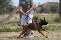 processed/62ef5f7d-774d-459e-8c5f-d063c1a1778f/listing/8f426cb7-714b-43b2-be76-17f1b0b7d776/eab0a290-ff6a-47f7-ac36-2a45af859abd