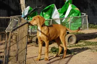 processed/62ef5f7d-774d-459e-8c5f-d063c1a1778f/listing/910937c4-d877-436a-bf08-a68abd649928/04c2c16d-fb26-4ee8-80f4-3e6c16d12e86