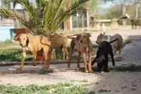 processed/62ef5f7d-774d-459e-8c5f-d063c1a1778f/listing/910937c4-d877-436a-bf08-a68abd649928/5b589266-8b06-432e-a114-31fbdf247fc6