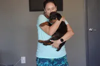 Meleys, a female Rottweiler for sale in Maricopa, AZ – 8 of 10
