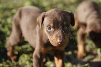 processed/62ef5f7d-774d-459e-8c5f-d063c1a1778f/listing/a3a64c3b-cbe8-421c-8eb1-fddfdddf9382/84f6acd8-a814-46c3-b5bb-9bb7a9207747