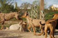 processed/62ef5f7d-774d-459e-8c5f-d063c1a1778f/listing/a3ac7e6a-e541-44d0-8fb2-e4d38f138588/274e79ae-8b0d-49ca-b5d2-c98c9ee6cb18