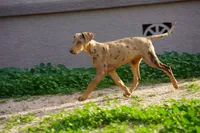 processed/62ef5f7d-774d-459e-8c5f-d063c1a1778f/listing/a3ac7e6a-e541-44d0-8fb2-e4d38f138588/53c47930-be8b-4550-8468-b620c0feb690