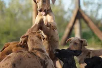 processed/62ef5f7d-774d-459e-8c5f-d063c1a1778f/listing/a3ac7e6a-e541-44d0-8fb2-e4d38f138588/87f5d808-73e2-432d-a9ff-1531fccb136e