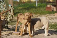 processed/62ef5f7d-774d-459e-8c5f-d063c1a1778f/listing/a3ac7e6a-e541-44d0-8fb2-e4d38f138588/9378b913-bf31-4a2b-9537-4341c980337b