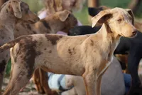 processed/62ef5f7d-774d-459e-8c5f-d063c1a1778f/listing/a3ac7e6a-e541-44d0-8fb2-e4d38f138588/a88ea08e-1dee-47e6-84d5-b519162b5290