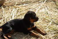 processed/62ef5f7d-774d-459e-8c5f-d063c1a1778f/listing/be3e1231-e55b-4c35-9d41-c897c7884b9b/23576596-2832-4b2e-b276-8521eba836ca