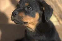 processed/62ef5f7d-774d-459e-8c5f-d063c1a1778f/listing/be3e1231-e55b-4c35-9d41-c897c7884b9b/2bc57067-9ada-458a-97af-2923d7f3ae9e