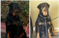 processed/62ef5f7d-774d-459e-8c5f-d063c1a1778f/listing/be3e1231-e55b-4c35-9d41-c897c7884b9b/8e0b31ef-4a43-4841-9a6b-b17ff42b56cc