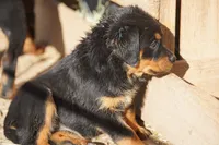 processed/62ef5f7d-774d-459e-8c5f-d063c1a1778f/listing/be6e974e-15c8-45e2-a46f-939861227319/684d70b4-3d97-4048-af86-9da4da22a086