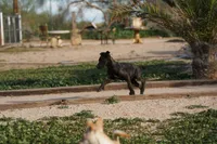 processed/62ef5f7d-774d-459e-8c5f-d063c1a1778f/listing/bfd081cb-8c8f-4e05-b1be-093a80b5105e/83608558-ef1a-4059-aad2-75bd88cddf89