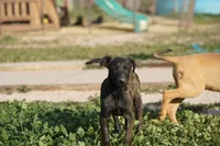 processed/62ef5f7d-774d-459e-8c5f-d063c1a1778f/listing/bfd081cb-8c8f-4e05-b1be-093a80b5105e/8c1c3770-8908-4fb6-84a0-76d3da81f0f6