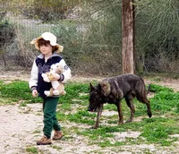 processed/62ef5f7d-774d-459e-8c5f-d063c1a1778f/listing/bfd081cb-8c8f-4e05-b1be-093a80b5105e/8ef1adf3-51a3-4920-9290-c844a02015b5