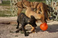 processed/62ef5f7d-774d-459e-8c5f-d063c1a1778f/listing/bfd081cb-8c8f-4e05-b1be-093a80b5105e/aa67c4e3-98e3-46b5-8b85-4e9ea985181a