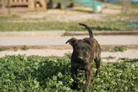 processed/62ef5f7d-774d-459e-8c5f-d063c1a1778f/listing/bfd081cb-8c8f-4e05-b1be-093a80b5105e/cd427c86-c9cc-4289-87b8-b15fbfc028eb