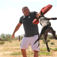 Shenzi F, a female Dutch Shepherd for sale in Maricopa, AZ – Photo 2 of 10