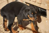 processed/62ef5f7d-774d-459e-8c5f-d063c1a1778f/listing/c5c829df-567e-4a05-857e-3e70d72ddaa8/26efbb30-a140-4749-b3af-081ad18014a1