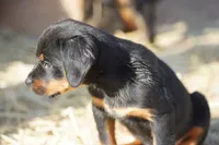 processed/62ef5f7d-774d-459e-8c5f-d063c1a1778f/listing/c5c829df-567e-4a05-857e-3e70d72ddaa8/6ae1d98d-4af5-441d-a140-91674e2d5e2c