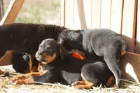 processed/62ef5f7d-774d-459e-8c5f-d063c1a1778f/listing/c5c829df-567e-4a05-857e-3e70d72ddaa8/8190fd3d-9eb7-45f8-acc3-a7ed9d99de17