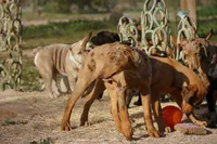 processed/62ef5f7d-774d-459e-8c5f-d063c1a1778f/listing/c7b94e31-6f77-4449-b1b9-5144c5b571ac/32a62a5d-7d23-4aeb-a89d-98204d3f6803