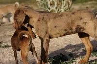 processed/62ef5f7d-774d-459e-8c5f-d063c1a1778f/listing/c7b94e31-6f77-4449-b1b9-5144c5b571ac/51b69c63-5335-48d1-b173-8b356d675c9f