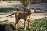 processed/62ef5f7d-774d-459e-8c5f-d063c1a1778f/listing/c7b94e31-6f77-4449-b1b9-5144c5b571ac/697b0500-04ea-43a2-ac30-7b1bd8188db6