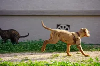 processed/62ef5f7d-774d-459e-8c5f-d063c1a1778f/listing/c7b94e31-6f77-4449-b1b9-5144c5b571ac/7d67e75b-4991-4c74-b234-2f5ae8d14591