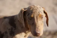 processed/62ef5f7d-774d-459e-8c5f-d063c1a1778f/listing/c7b94e31-6f77-4449-b1b9-5144c5b571ac/7eebc370-02b9-40da-a46f-eb55711b88a0