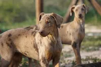 processed/62ef5f7d-774d-459e-8c5f-d063c1a1778f/listing/c7b94e31-6f77-4449-b1b9-5144c5b571ac/915c7bfe-2536-4778-8c8a-b6200647a1d7