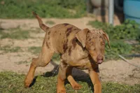 processed/62ef5f7d-774d-459e-8c5f-d063c1a1778f/listing/c7b94e31-6f77-4449-b1b9-5144c5b571ac/a15e4416-76d1-4168-8c76-31bc654c096f