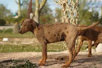 processed/62ef5f7d-774d-459e-8c5f-d063c1a1778f/listing/c7b94e31-6f77-4449-b1b9-5144c5b571ac/b4b38611-2572-46f6-afce-4cd5d0847993