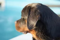 processed/62ef5f7d-774d-459e-8c5f-d063c1a1778f/listing/cab13eb7-635a-46ee-a975-d86f1bb7646b/5d6b155a-0599-40c4-aa14-9608cc969894