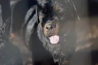 processed/62ef5f7d-774d-459e-8c5f-d063c1a1778f/listing/cab13eb7-635a-46ee-a975-d86f1bb7646b/c2a0bef2-6cfe-4d43-a036-db5f1afcb2f6