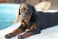 processed/62ef5f7d-774d-459e-8c5f-d063c1a1778f/listing/cab13eb7-635a-46ee-a975-d86f1bb7646b/e8c0c531-4000-4ad1-82c9-704c7dfbd44c