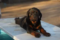 processed/62ef5f7d-774d-459e-8c5f-d063c1a1778f/listing/cab13eb7-635a-46ee-a975-d86f1bb7646b/ed5f9095-33b3-433f-b712-731f5a1b7244