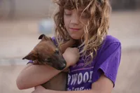 Malinois M, a male Belgian Malinois for sale in Maricopa, AZ – Photo 6 of 9